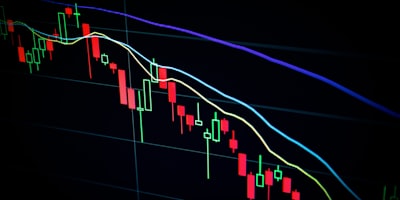 Profit & Loss Statement